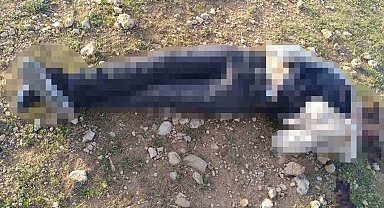 Mardin'de 1 kişi silahla vurulmuş halde bulundu