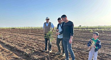 Mardin'de fıstık yetiştiriciliğine rağbet artıyor