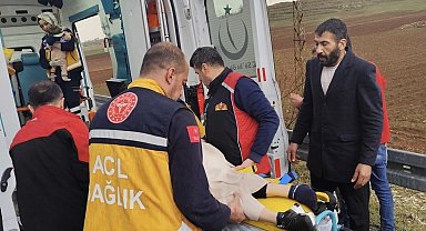 Mardin'de kamyonet tarlaya devrildi: 3 yaralı