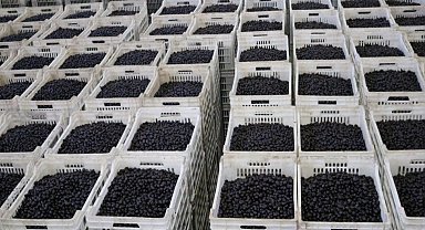 Marmarabirlik son dilim ödemeyi 25 Nisan'da yapacak