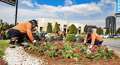 Mersin rengarenk çiçeklerle baharı karşılıyor