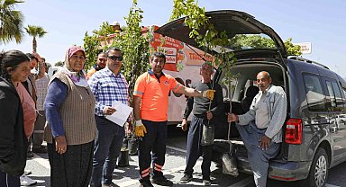 Mersin'de üreticilere Trabzon hurması fidanı dağıtılıyor