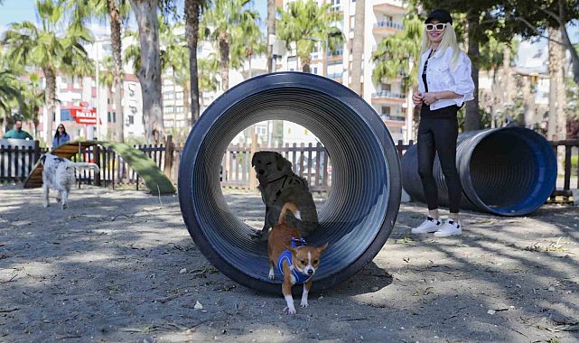Mersin'den patili dostlara özel oyun parkı