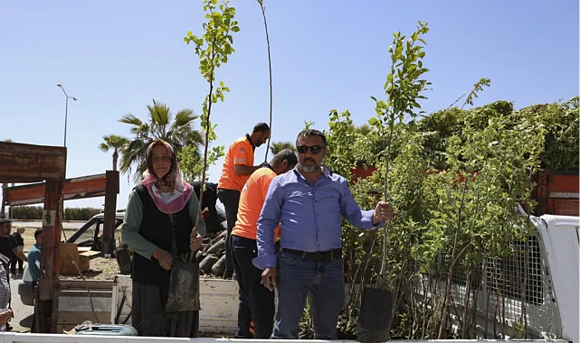 Mersinli çiftçiler Trabzon Hurması üretecek