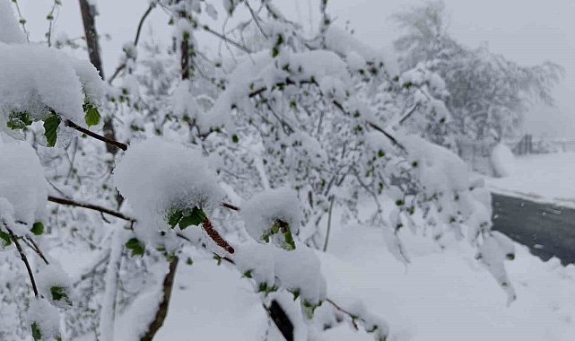 Meteorolojiden Ordu için 'sarı kodlu' uyarı