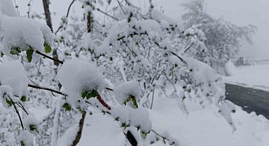Meteorolojiden Ordu için 'sarı kodlu' uyarı