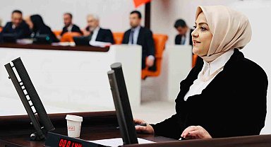 Milletvekili Ün; "İklim Yasasına hayır diyorum"