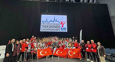 Milli Erkek Taekwondo Takımı, Avrupa şampiyonu
