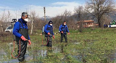 Muğla Büyükşehir'den vektörle mücadele