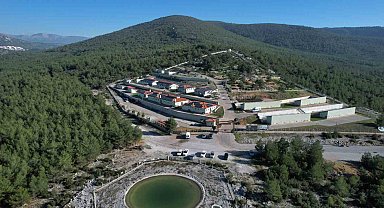 Muğla'da 3 bin 596 can dostu sahiplendirildi