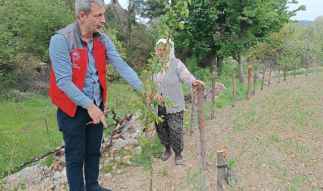 Muğla'da kapsamlı tarımsal takip