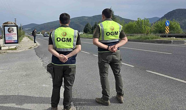Muğla'da orman emvali kontrolleri sürüyor