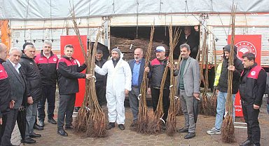 Muş'ta çiftçilere 6 bin 150 adet ceviz fidanı dağıtıldı