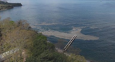 Müsilaj Gemlik Körfezi'nde yeniden görüldü