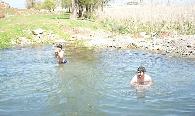 Muşlu çocuklar soğuğa aldırmadı: Titreye titreye gölette yüzdüler