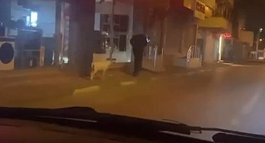 Ne kedi, ne köpek.. Eğittiği kuzusunu dolaşmaya çıkardı