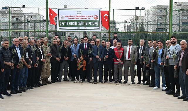 Nusaybinli çiftçilere 8 bin adet zeytin fidanı dağıtıldı