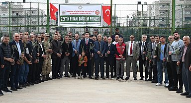Nusaybinli çiftçilere 8 bin adet zeytin fidanı dağıtıldı