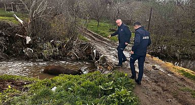 Ölü büyükbaş hayvan dereye bırakıldı, o anlar cep telefonu kamerasına yansıdı