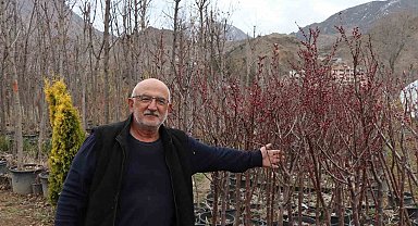 Ömrünü fidan üretimine adadı