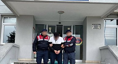 Ordu'da DEAŞ üyesi bir kişi yakalandı