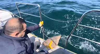 Ordu'da denizde serili kalkan ağına el konuldu