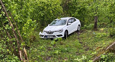 Ordu'da otomobil fındık bahçesine uçtu