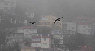 Ordu'da sis etkili oluyor