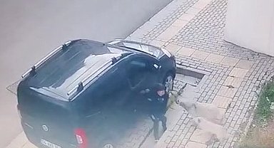 Orhangazi'de başıboş köpekler küçük çocuğa büyük korku yaşattı