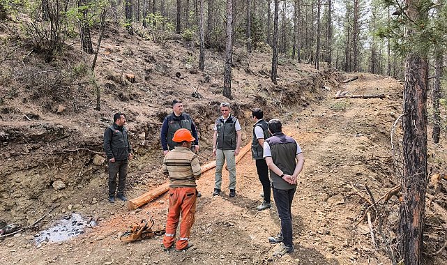Orman Bölge Müdürü Ataş, Mut'ta incelemelerde bulundu