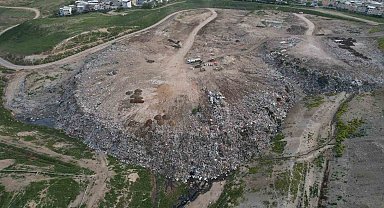 Osmangazi'de hayvan katliamı kenti ayağa kaldırdı