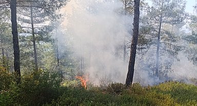 Osmaniye'de ormanlık alanda çıkan yangın söndürüldü
