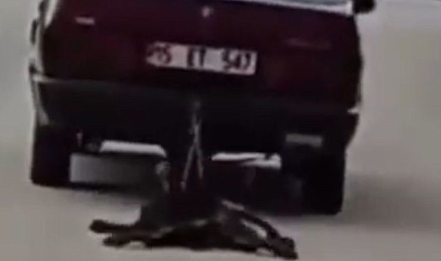 Otomobilin arkasına bağladığı köpeği sürükledi, gözaltına alındı