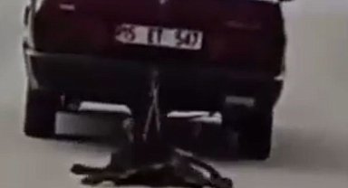 Otomobilin arkasına bağladığı köpeği sürükledi, gözaltına alındı