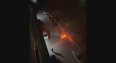 Park halindeki otomobilde korkutan yangın