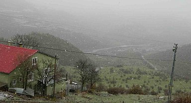 Posof'ta kar yağışı etkili oluyor