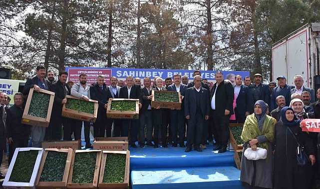 Şahinbey Belediyesinden çiftçiye 7 milyon adet fide desteği