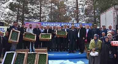 Şahinbey Belediyesinden çiftçiye 7 milyon adet fide desteği