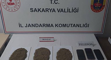 Sakarya'da jandarmadan 10 günde 63 uyuşturucu operasyonu: 68 şüpheli yakalandı