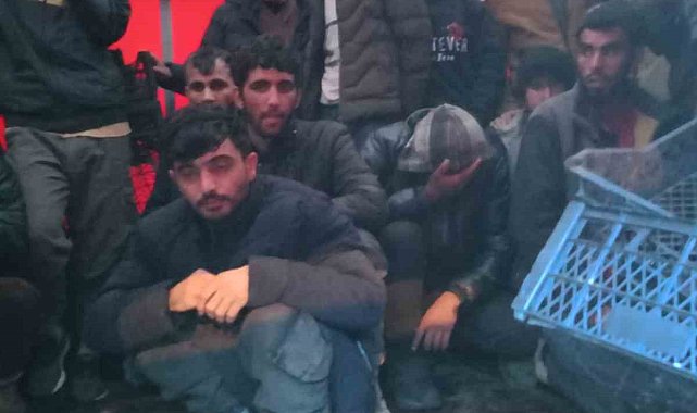 Sakarya'da tır dolusu düzensiz göçmen yakalandı: Sürücü tutuklandı