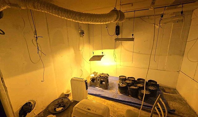 Sakarya'da uyuşturucu ve kaçakçılık operasyonları: 41 tutuklama