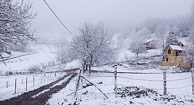 Sakarya'nın yüksek kesimlerinde kar etkili oluyor