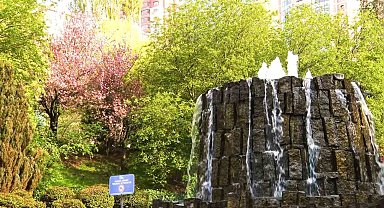 Sakuralar çiçek açtı: Vatandaşlar akın etti