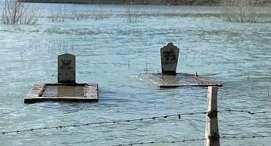 Samsun ilginç görüntüler: Su altında kalmış mezarlar, binlerce balık yavrusu