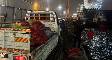 Samsun'da 2 ton kaçak midye ele geçildi