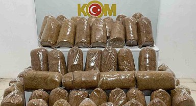 Samsun'da 240 kilo kaçak tütün ele geçirildi