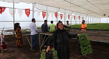 Şanlıurfa bu sene de 'acı'ya doyacak