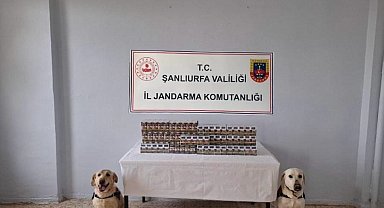 Şanlıurfa'da bin 720 paket kaçak sigara ele geçirildi