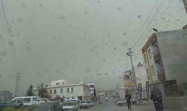 Şanlıurfa'da çamur yağdı