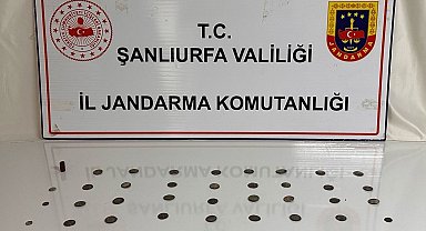 Şanlıurfa'da tarihi eser operasyonu: 2 gözaltı